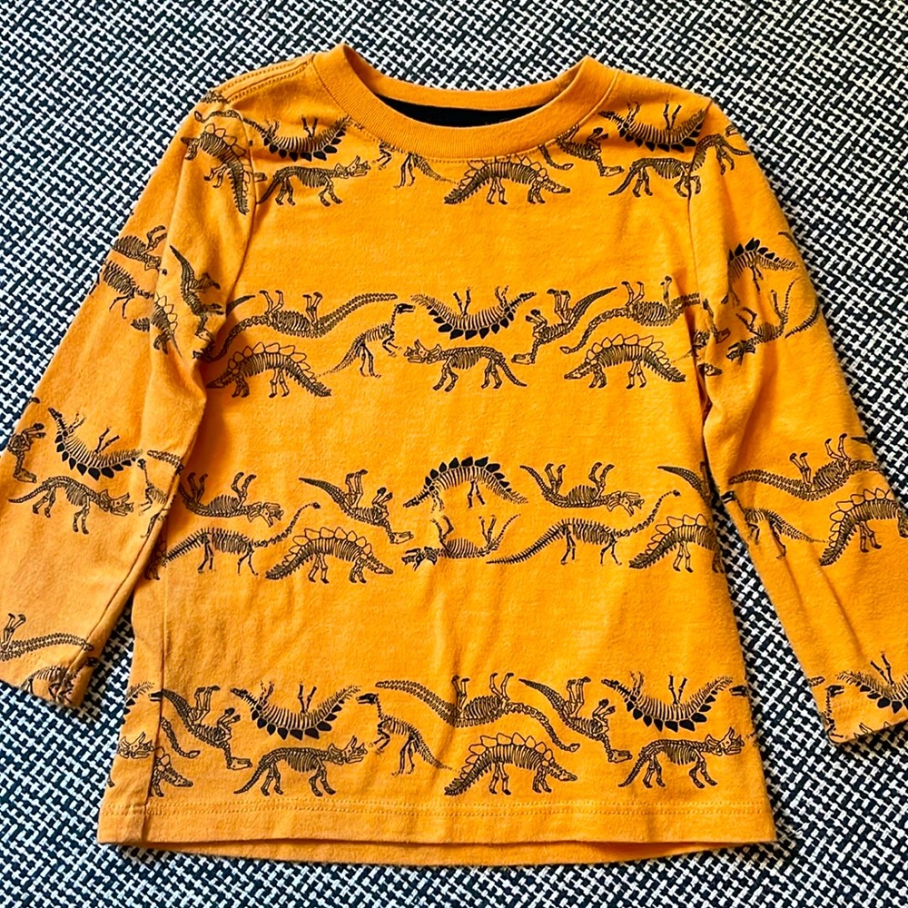 Cat & Jack Orange Dinosaur Long Sleeve Tee